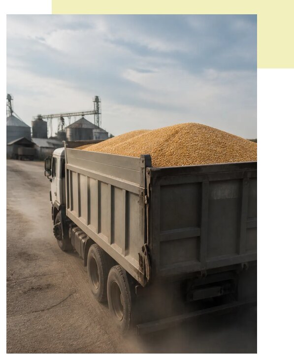 Перевозка сельхозпродукции навалом в Искитим по цене от 3058 р. | Агросервис-Скм